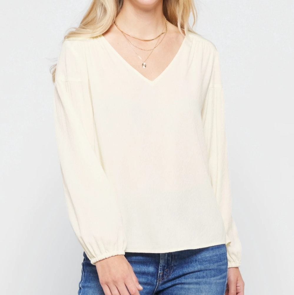 Market & Spruce Cecilia Volume sleeve Top.